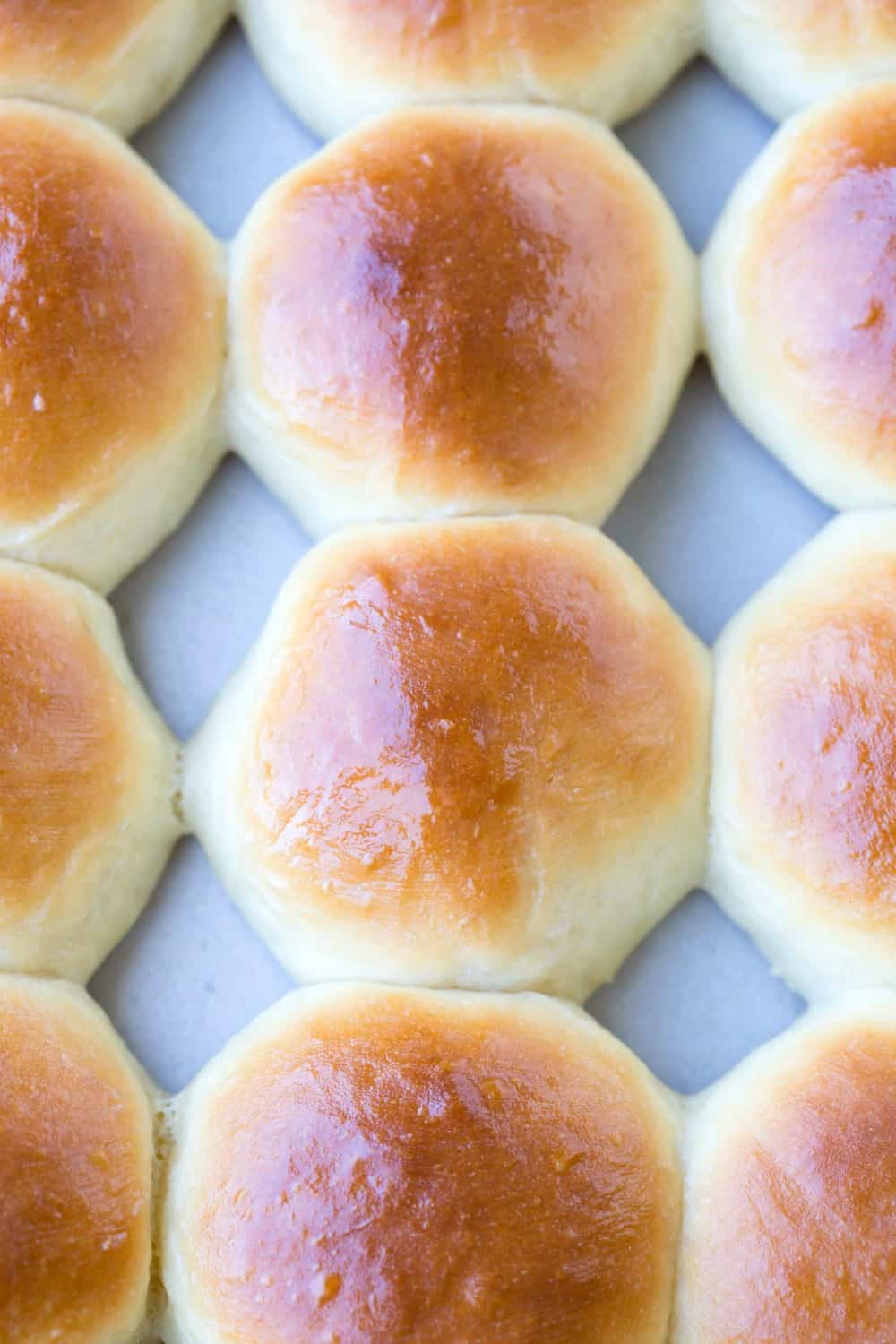 Hawaiian Rolls I Heart Eating   Hawaiian Sweet Rolls 1 1000 