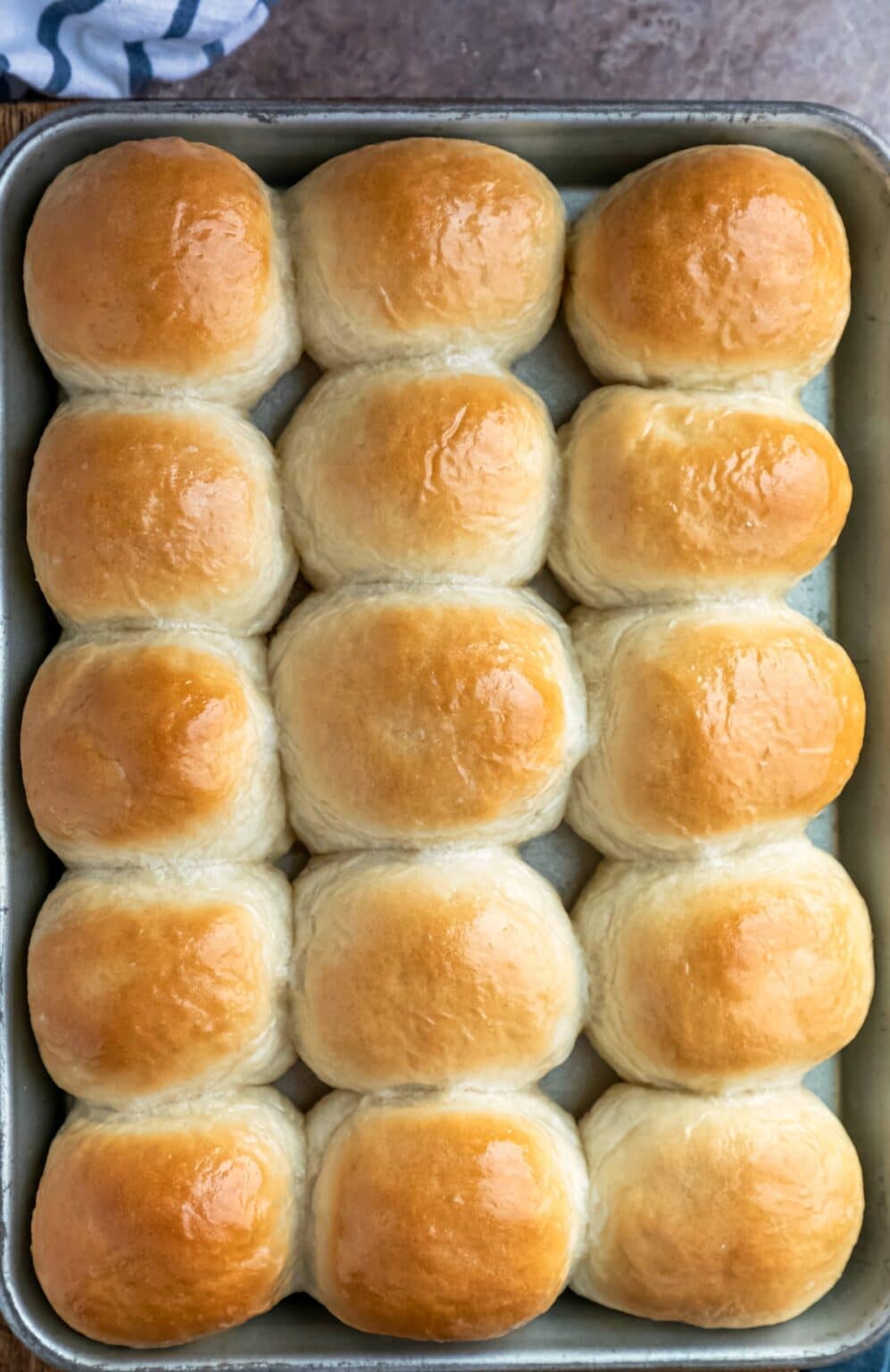 One Hour Dinner Rolls - I Heart Eating