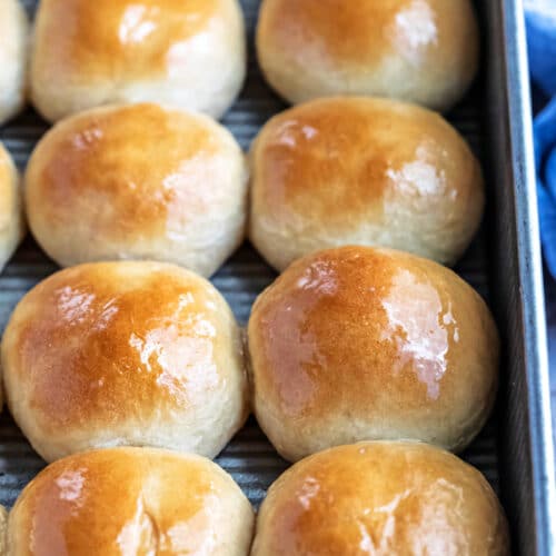 One Hour Whole Wheat Rolls - I Heart Eating