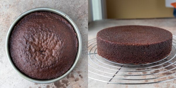 Chocolate Brownie Cake - I Heart Eating