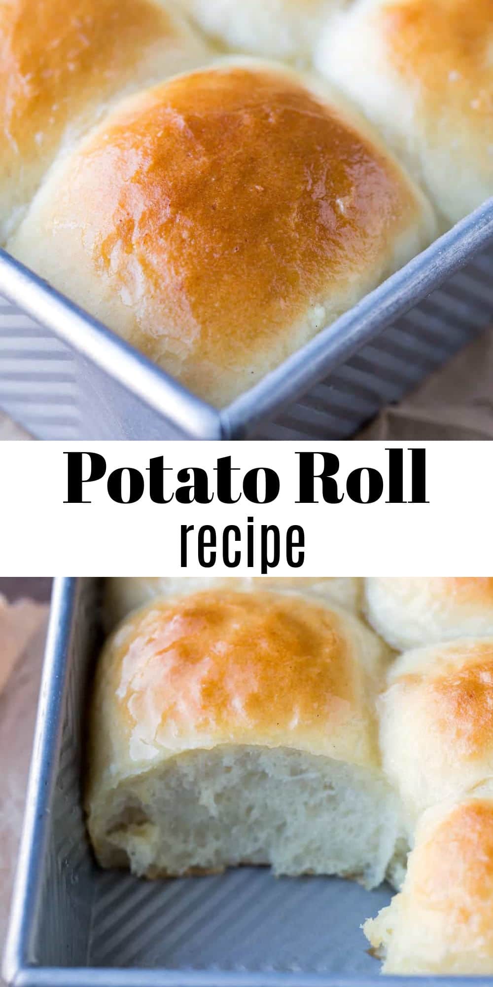 Amish Dinner Rolls - I Heart Eating