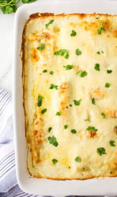 White Chicken Enchiladas - I Heart Eating