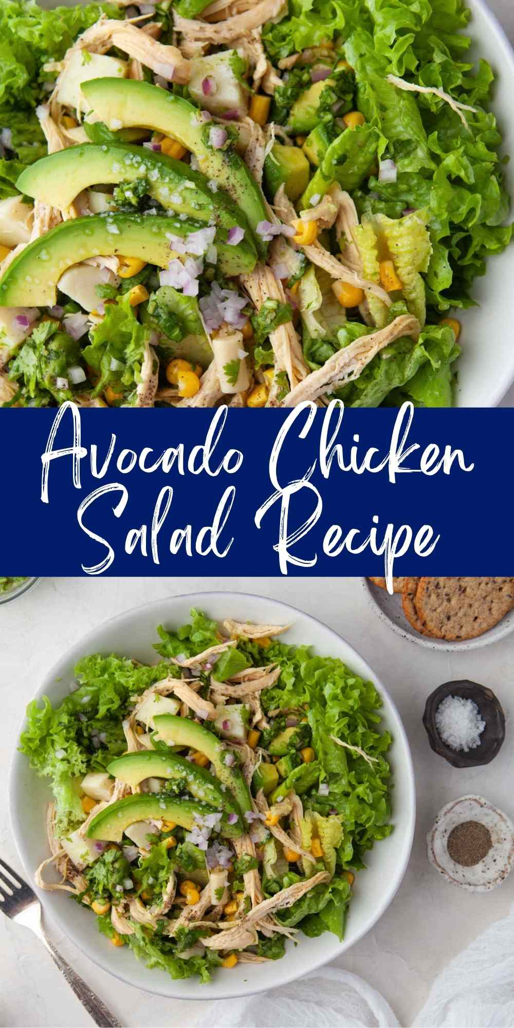 Avocado Chicken Salad - I Heart Eating