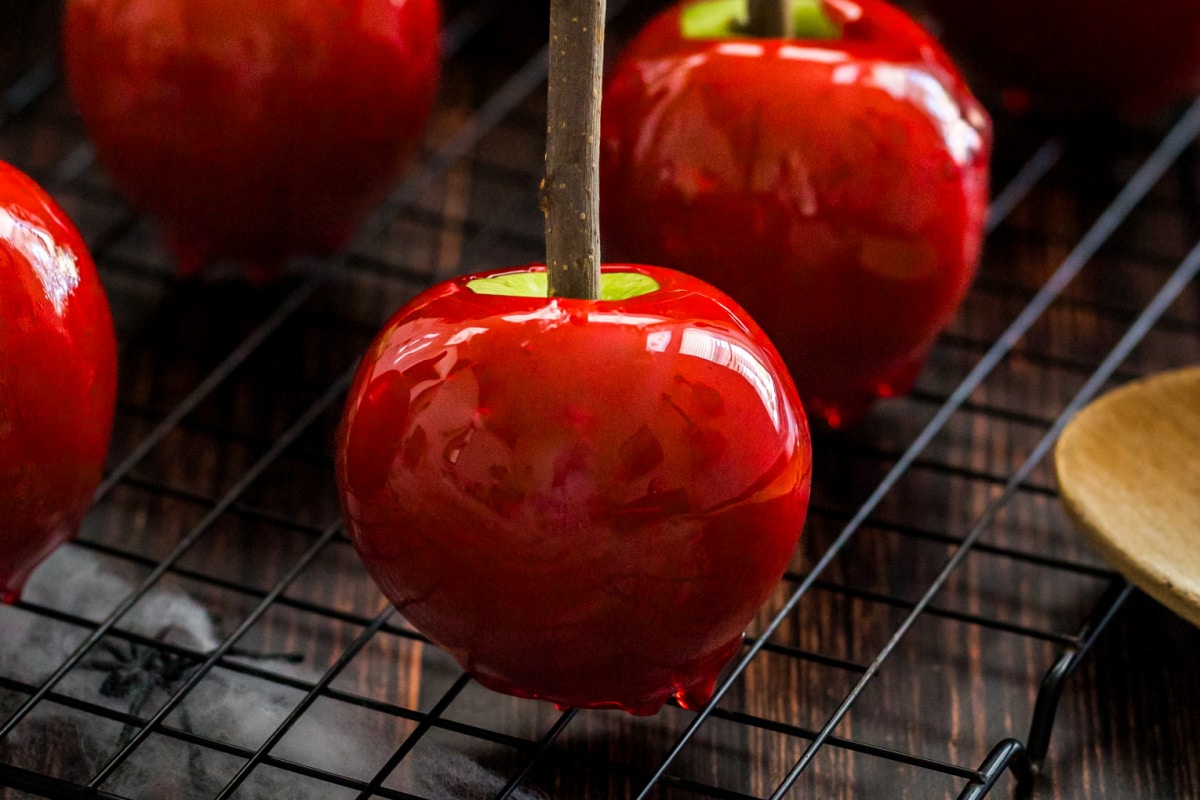 A row of candy apples on a dark background. 