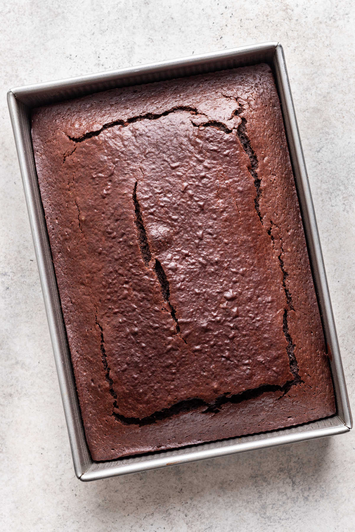 Baked chocolate coconut cake in a pan.