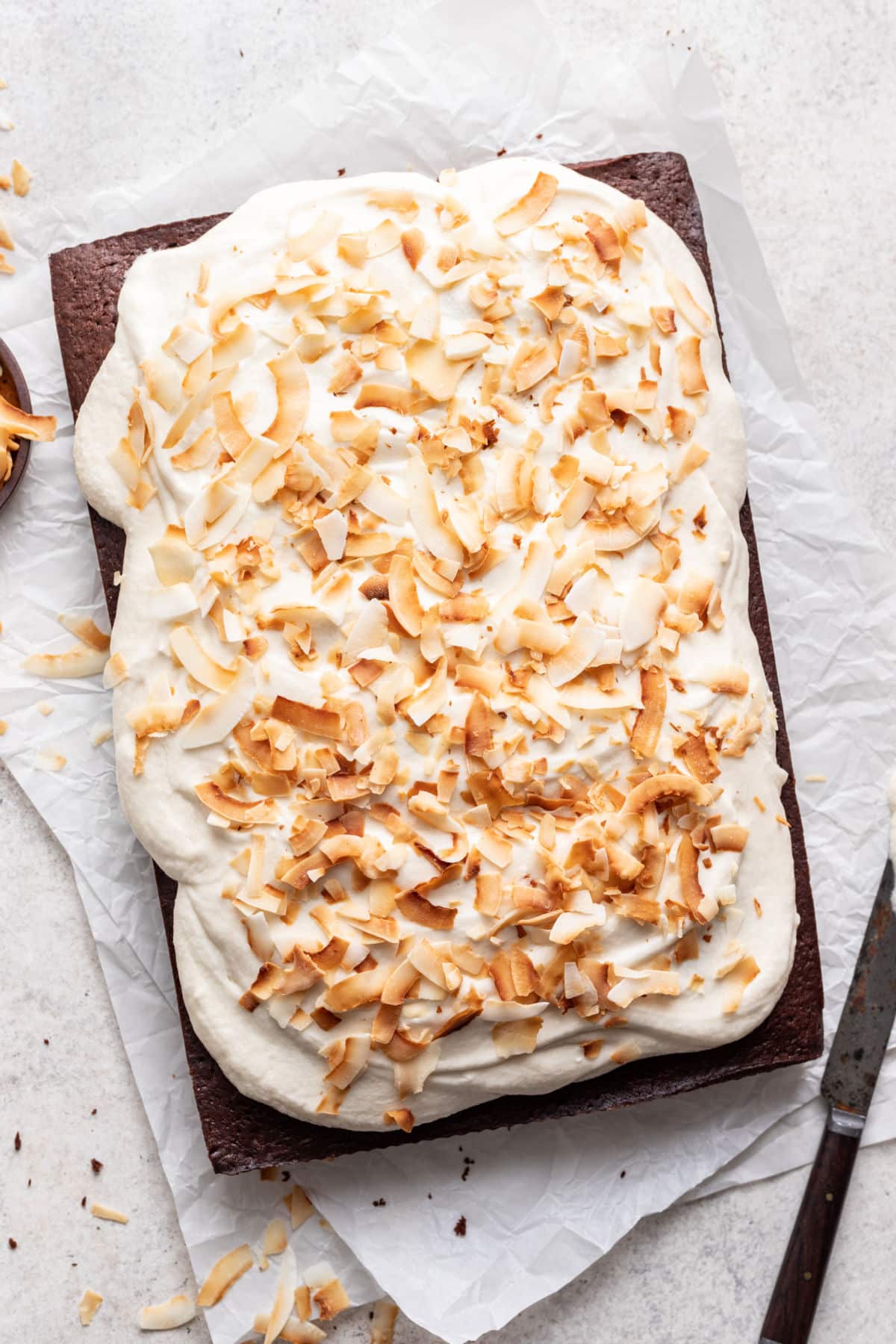 Frosted chocolate coconut cake topped with coconut chips.